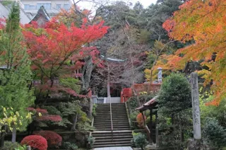 【紅葉・見ごろ】薬王院温泉寺