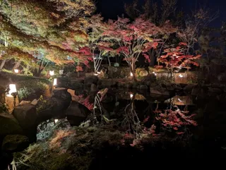 大磯城山公園もみじのライトアップ2025