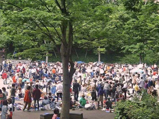 新宿中央公園ビッグフリーマーケット（11月）