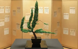 いけばな梶井宮御流第13回秋季華道展