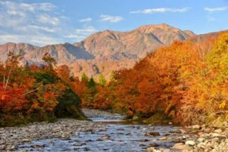 【紅葉・見ごろ】銀山平