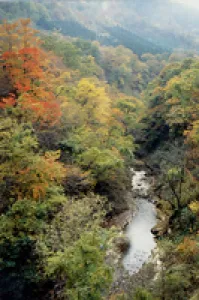 【紅葉・見ごろ】二口峡谷