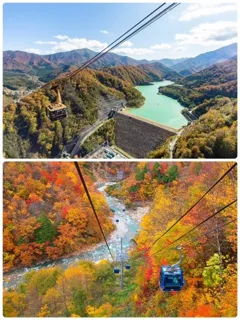 【紅葉・見ごろ】苗場ドラゴンドラ・田代ロープウェー
