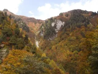 【紅葉・見ごろ】秋山林道