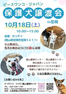 保護犬譲渡会 in笠岡（10月）