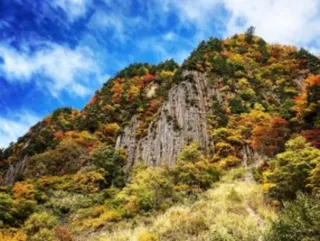 【紅葉・見ごろ】布岩