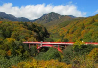 【紅葉・見ごろ】東沢大橋