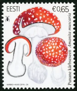 「魅惑のキノコ」展