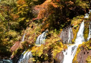 【紅葉・見ごろ】吐竜の滝と川俣川渓谷