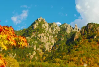 【紅葉・見ごろ】みずがき山自然公園