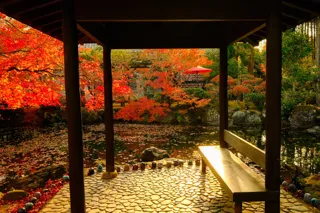 【紅葉・見ごろ】越前陶芸公園・福井県陶芸館