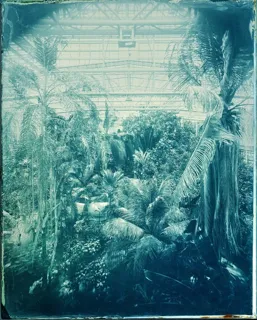 ボタニカルガーデンズ～今坂庸二朗写真展～