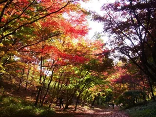 紅葉ウィーク