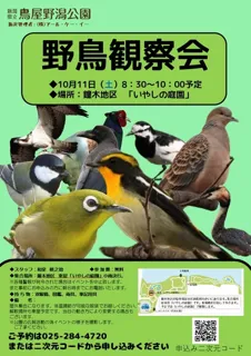野鳥観察会