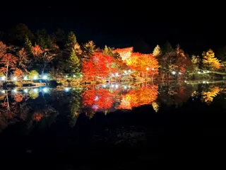 2025茶臼山高原紅葉ライトアップ