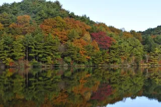 【紅葉・見ごろ】根の上高原