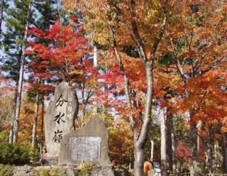 【紅葉・見ごろ】ひるがの高原
