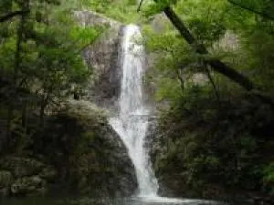 【紅葉・見ごろ】深谷の滝
