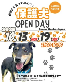 保護犬OPEN DAY