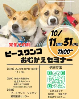 保護犬お迎えセミナー