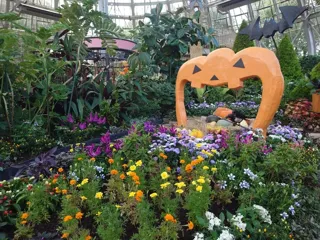 花の展示温室 ハロウィンガーデン