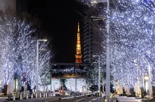 Roppongi Hills Christmas 2025