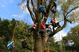 ツリークライミング体験会