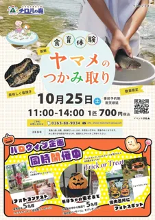 ヤマメのつかみ取り
