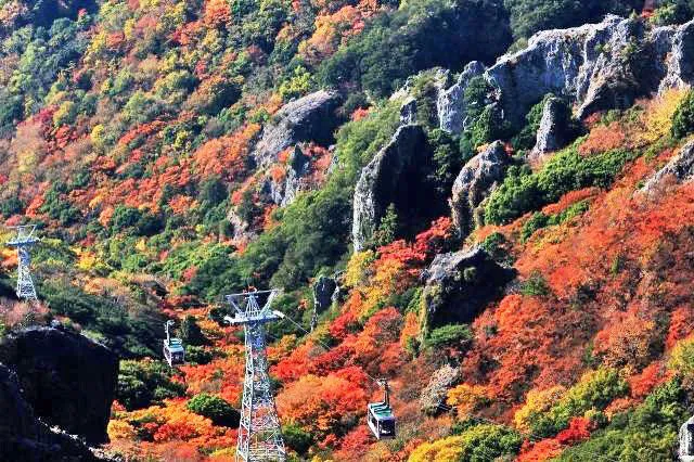 【紅葉・見ごろ】寒霞渓