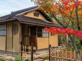 【紅葉・見ごろ】有楽苑