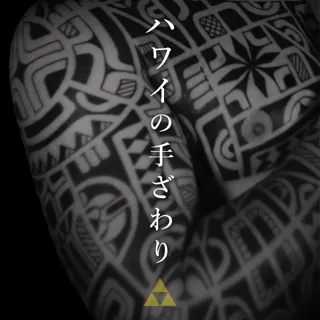 ハワイの手ざわり2025
