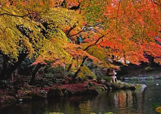 第26回　成田山公園紅葉まつり