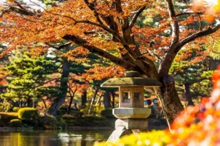 【紅葉・見ごろ】兼六園