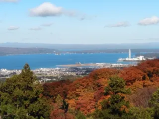 【紅葉・見ごろ】七尾城跡
