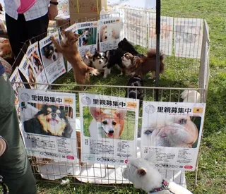 HUG　ANIMALS!  vol.14