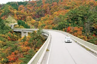 【紅葉・見ごろ】珠洲広域農道から見える山々