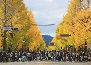 第46回八王子いちょう祭り