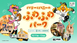 ハリーとハニーのふわふわパーク（10月）