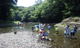 ちょこっとお手軽ツアー～川の生きもの探し～