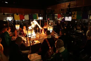 日本遺産高尾山特別体験第5弾　高尾山の自然を守る 杉苗奉納