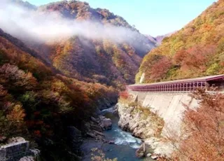 【紅葉・見ごろ】赤芝峡