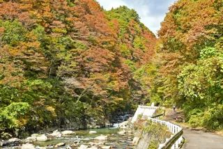 【紅葉・見ごろ】岨谷峡