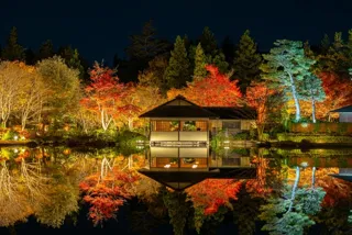 国営昭和記念公園　秋の夜散歩2025