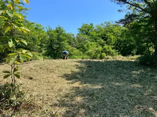 草地づくり プログラム