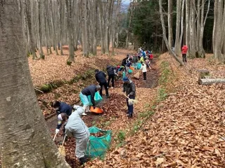 美人林保護活動