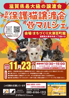 百町保護猫譲渡会＆マルシェ（11月）