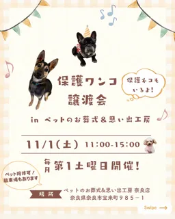 保護ワンコ譲渡会inペットのお葬式&思い出工房