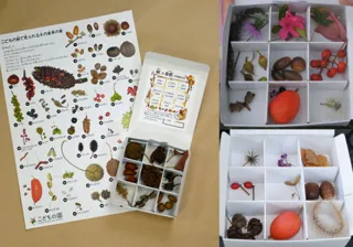 秋の自然つめあわせ