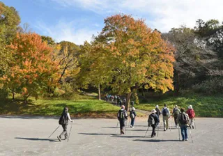 ノルディックウォーキング歩こう会(11月)