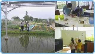 むかっち博士の自然観察会「田んぼの陸生動物研究」